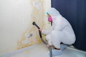 Best Attic Mold Removal  in West Newton, PA